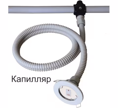 Kapillyar.jpg